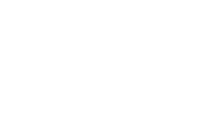 InoxSIM
