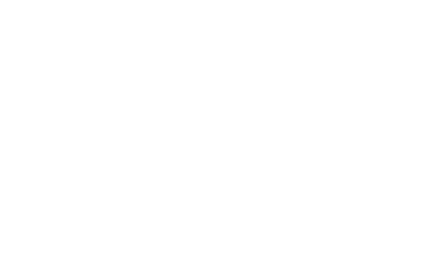 InoxSIM