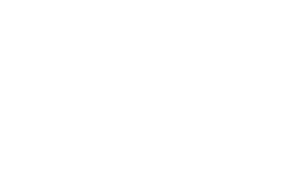 InoxSIM