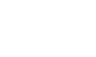 InoxSIM