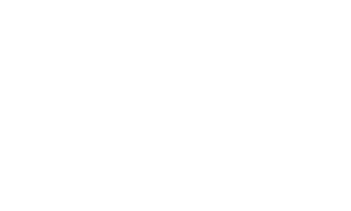 InoxSIM