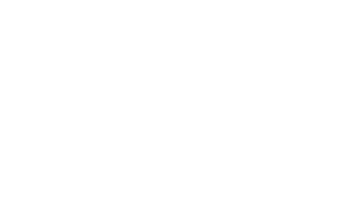 InoxSIM